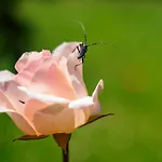 Hétvégi ház Rural Medulas Viviendas De Uso Turistico 2 Y 2