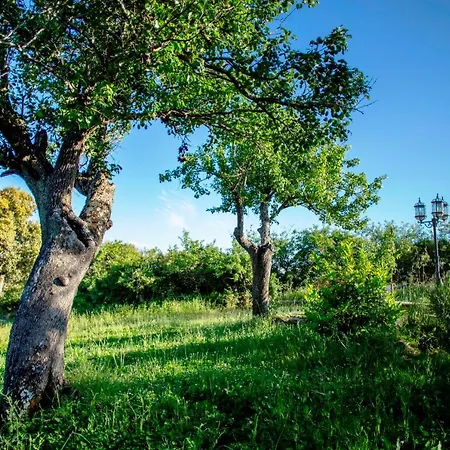 Rural Medulas Viviendas De Uso Turistico 2 Y 2 カントリーハウス *