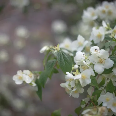 Rural Medulas Viviendas De Uso Turistico 2 Y 2 Лас-Медулас