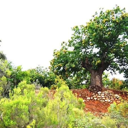 Rural Médulas Casa rural *