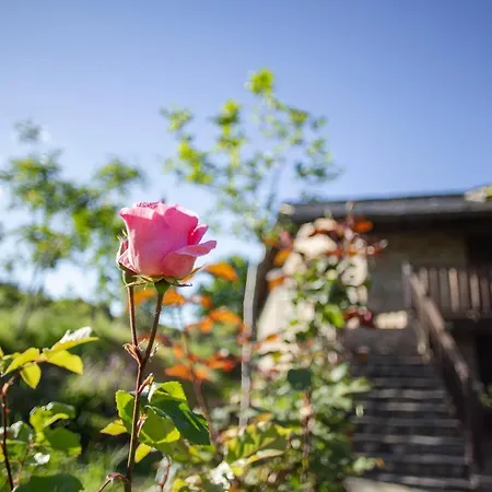 Rural Médulas Casa di campagna *