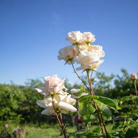 Rural Medulas Viviendas De Uso Turistico 2 Y 2