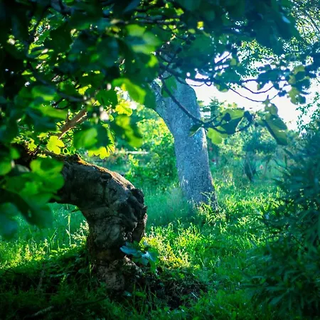 Rural Médulas Casa di campagna Las Médulas