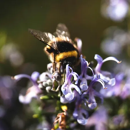 Летний дом Rural Medulas Viviendas De Uso Turistico 2 Y 2