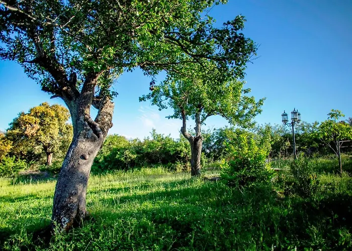 Rural Medulas Viviendas De Uso Turistico 2 Y 2 Landsted *