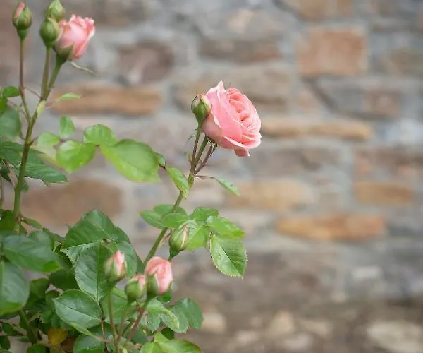 Rural Medulas Viviendas De Uso Turistico 2 Y 2 乡村民宿 拉斯梅德拉斯