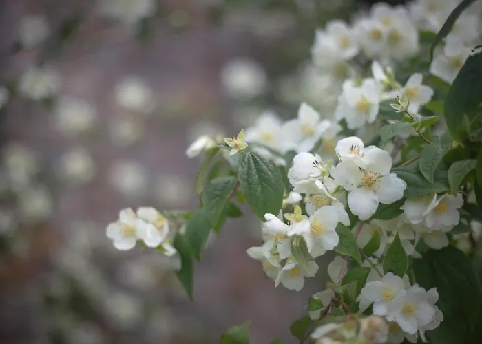 Rural Medulas Viviendas De Uso Turistico 2 Y 2 Las Médulas