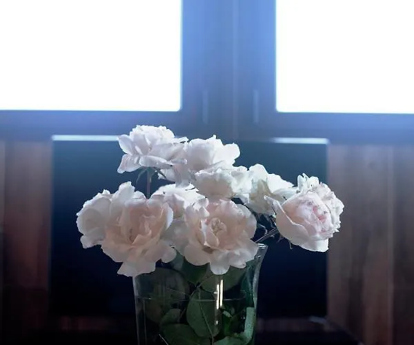 Rural Medulas Viviendas De Uso Turistico 2 Y 2 乡村民宿 拉斯梅德拉斯