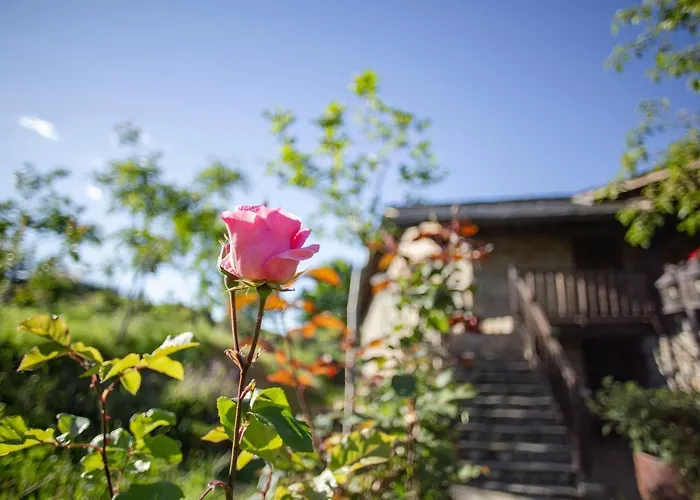 Rural Medulas Viviendas De Uso Turistico 2 Y 2 乡村民宿 *