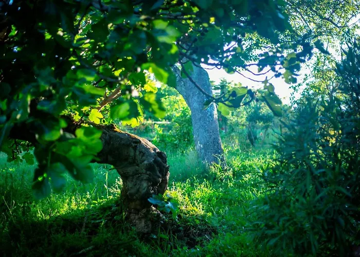Rural Medulas Viviendas De Uso Turistico 2 Y 2 乡村民宿 拉斯梅德拉斯