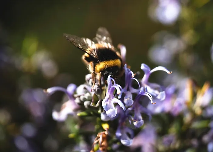 Landsted Rural Medulas Viviendas De Uso Turistico 2 Y 2